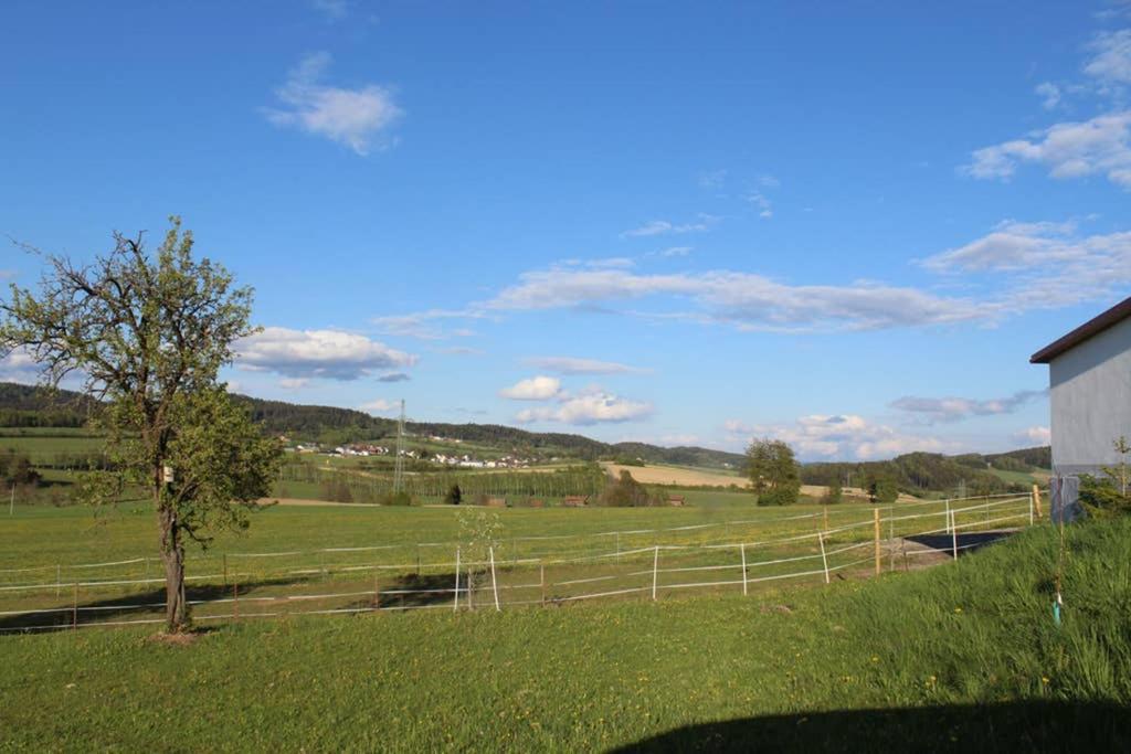 Anno - Die Wohlfuehl - Idylle In Gruenbach_Kirchdorf Kirchdorf im Wald Exterior foto
