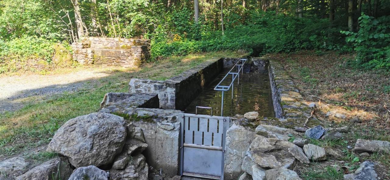 Anno - Die Wohlfuehl - Idylle In Gruenbach_Kirchdorf Kirchdorf im Wald Exterior foto